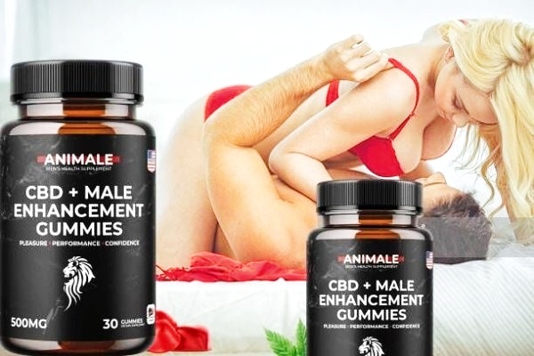 How to work Animale male enhancement gummies in South Africa - Quora How to work Animale male enhancement gummies in South Africa - Quora