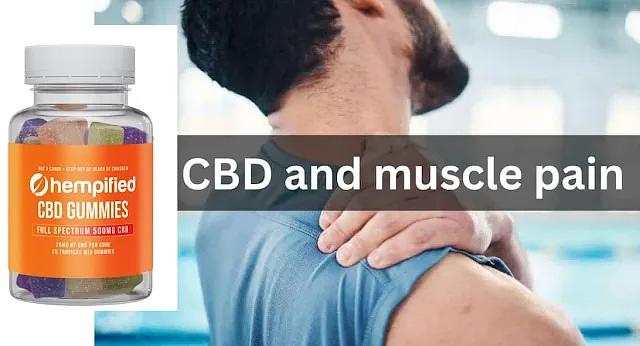 Everything You Should Know About Hempified CBD Gummies: Reviews, Benefits, and Pricing – Events – LSLF Forum Everything You Should Know About Hempified CBD Gummies: Reviews, Benefits, and Pricing – Events – LSLF Forum